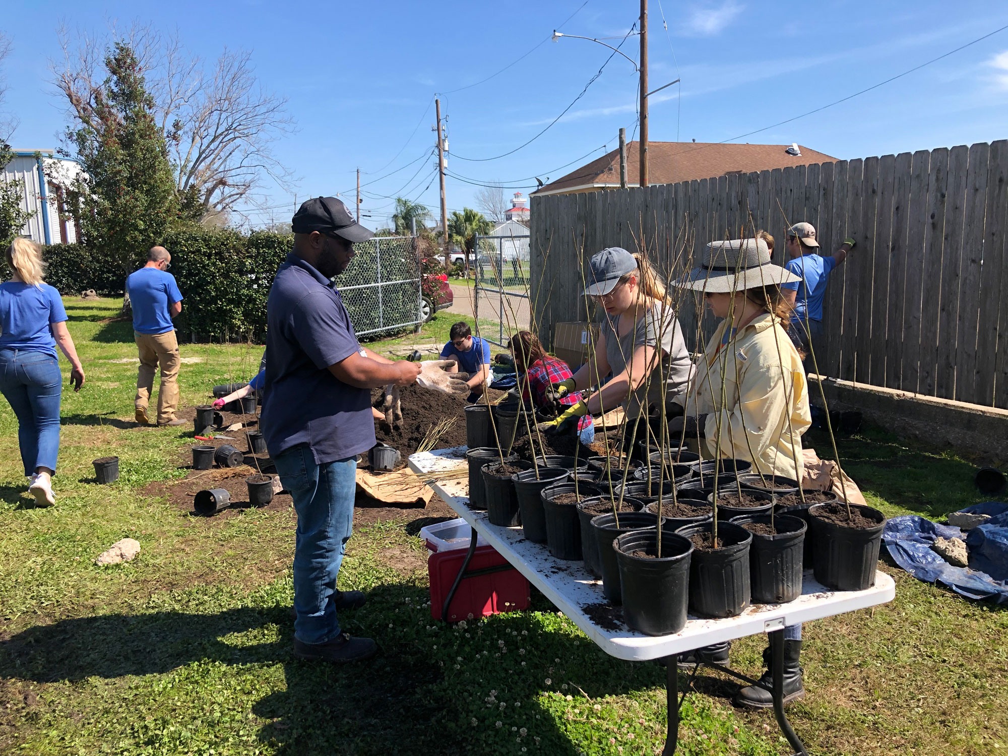 Bucktown Nursery