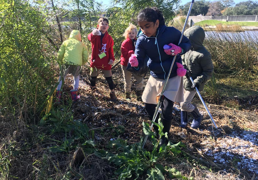 Litter cleanup