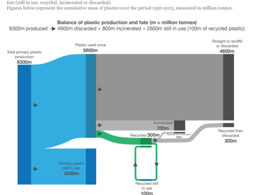 Our World In Data: Plastic Pollution
