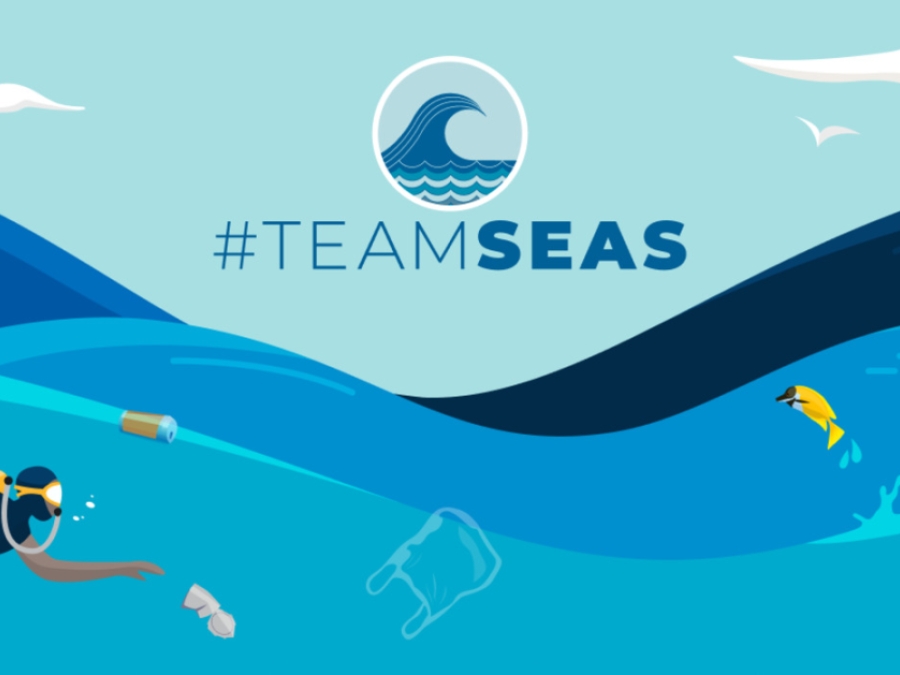 #Teamseas