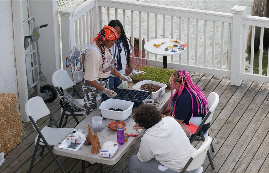 educational experiences